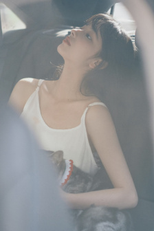 沧元图在线观看全集